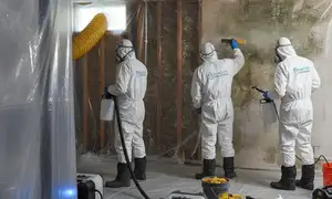 Mold remediation service widget for water damage cleanup in Fresno, CA